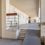 Lägenhet Homes With Cozy Terrace & 2 Swimming Pools Near The Heart Albufeira